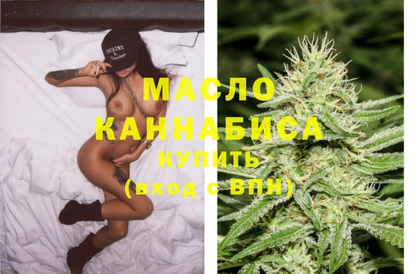 хмурый Арсеньев