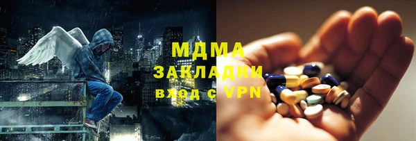 хмурый Арсеньев