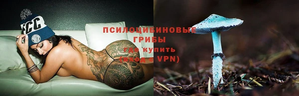 ешки Армянск